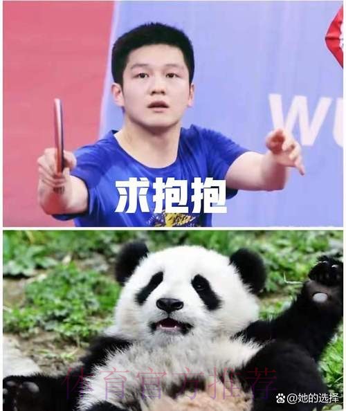 《熊猫说球》第四集：球员